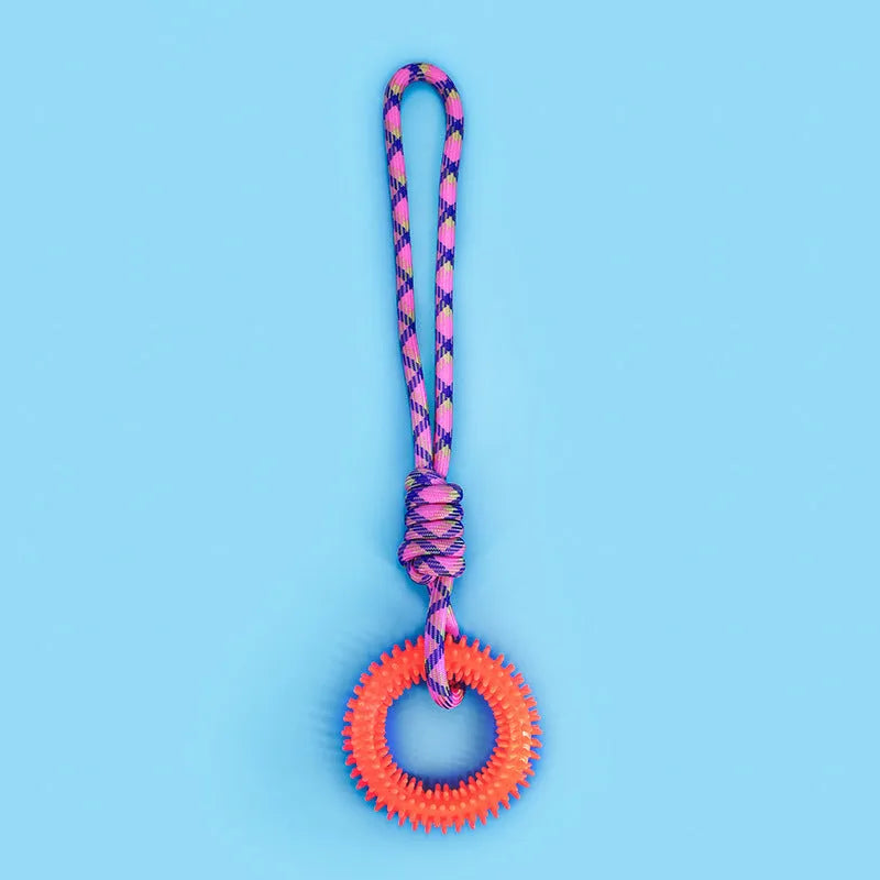 Blue braided rope dog toy with a knot, shown on a wooden floor.