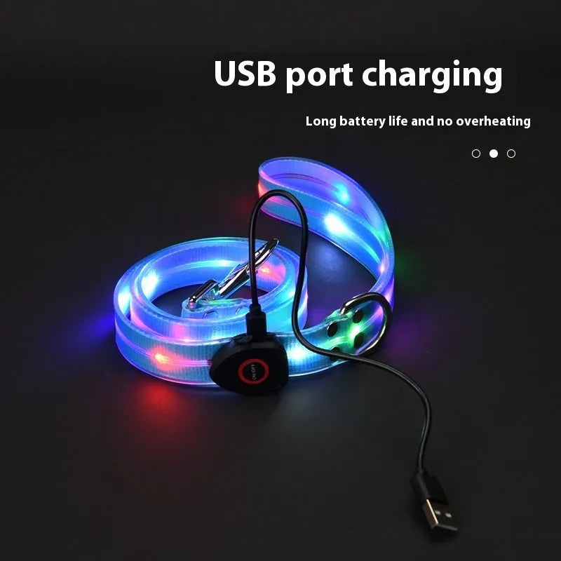 LED light-emitting pet collar and hand holding rope set in orange and black colours for night walking