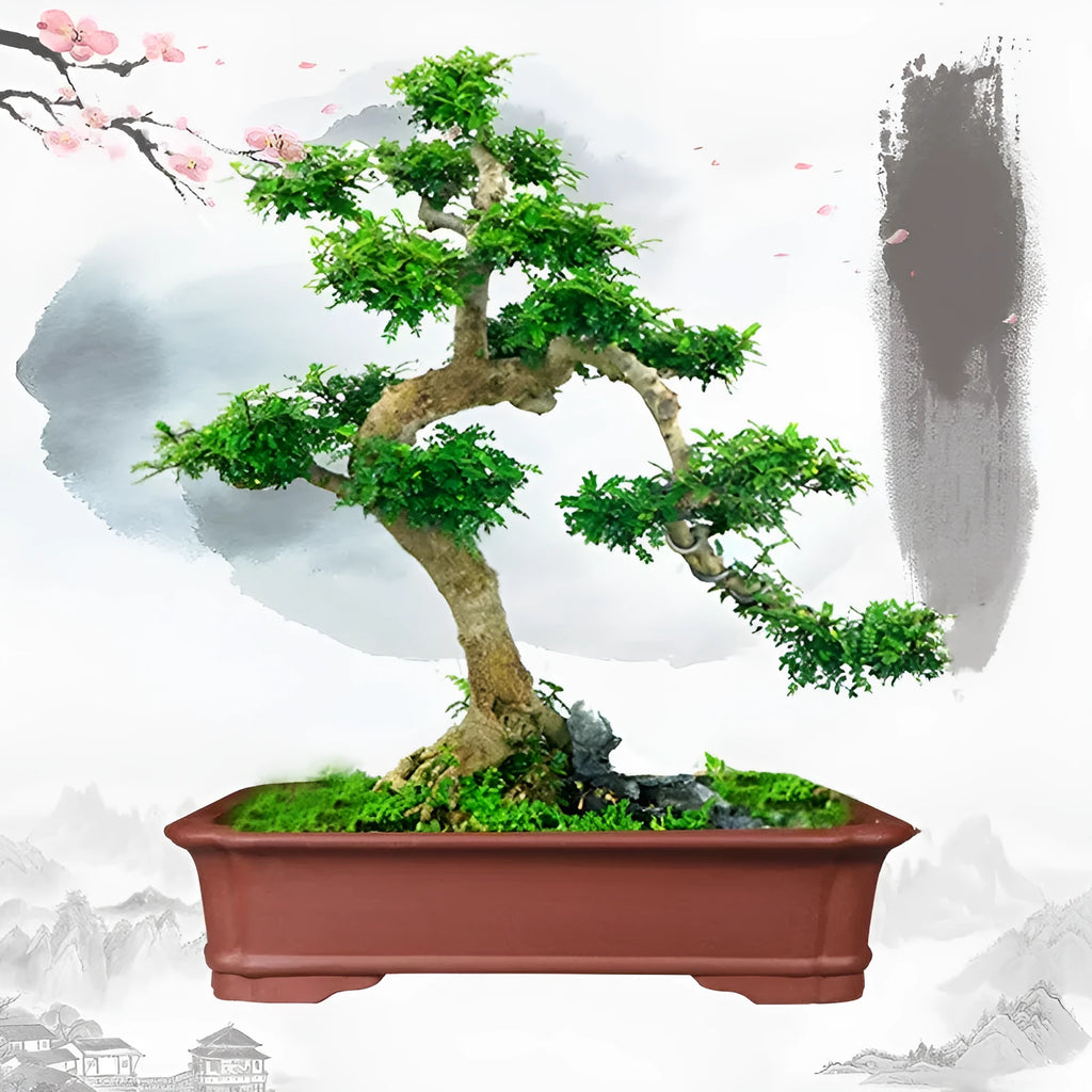 Handmade rectangular purple clay flowerpot shown in a large size for bonsai or garden plants