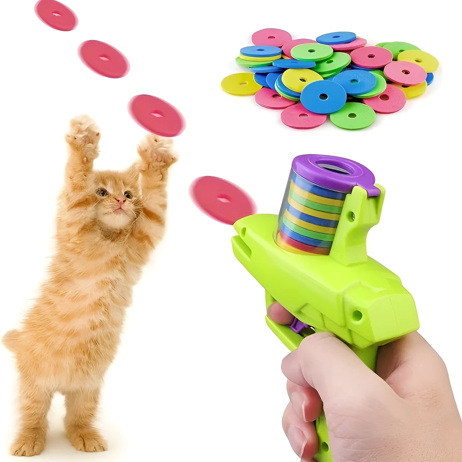 Green and purple manual cat toy launcher with foam discs for indoor pet play