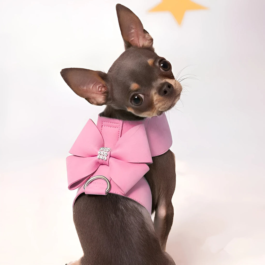 Puppy wearing microfiber chest strap with bowknot design in pink, blue, or orange colour
