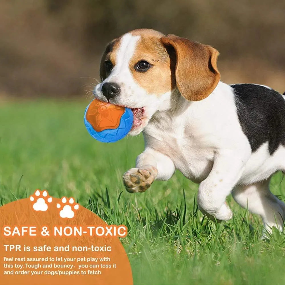 Three floating TPR dog toys: a squeaky ball, barbell, and tyres for water and land play.