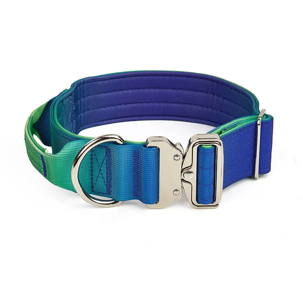 Nylon gradient pet collar and leash set in blue and purple on a white background