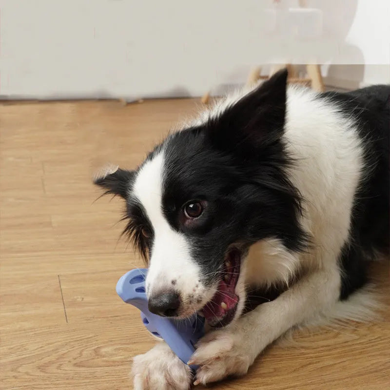 Blue boomerang-shaped dog chew toy with textured molar ridges