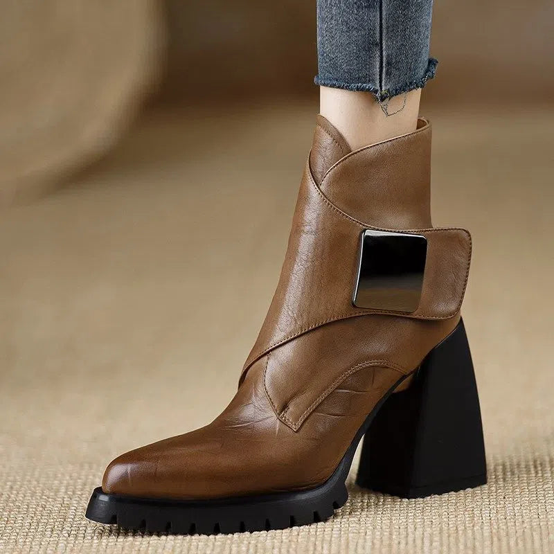 Retro chunky heel ankle boots for women with velvet lining, waterproof platform, and pointed toe in brown colour option