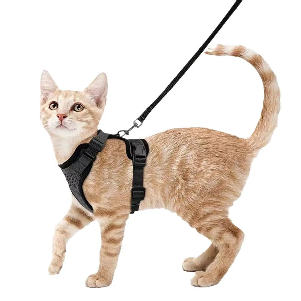 Blue anti-escape adjustable polyester cat leash for small cats size M