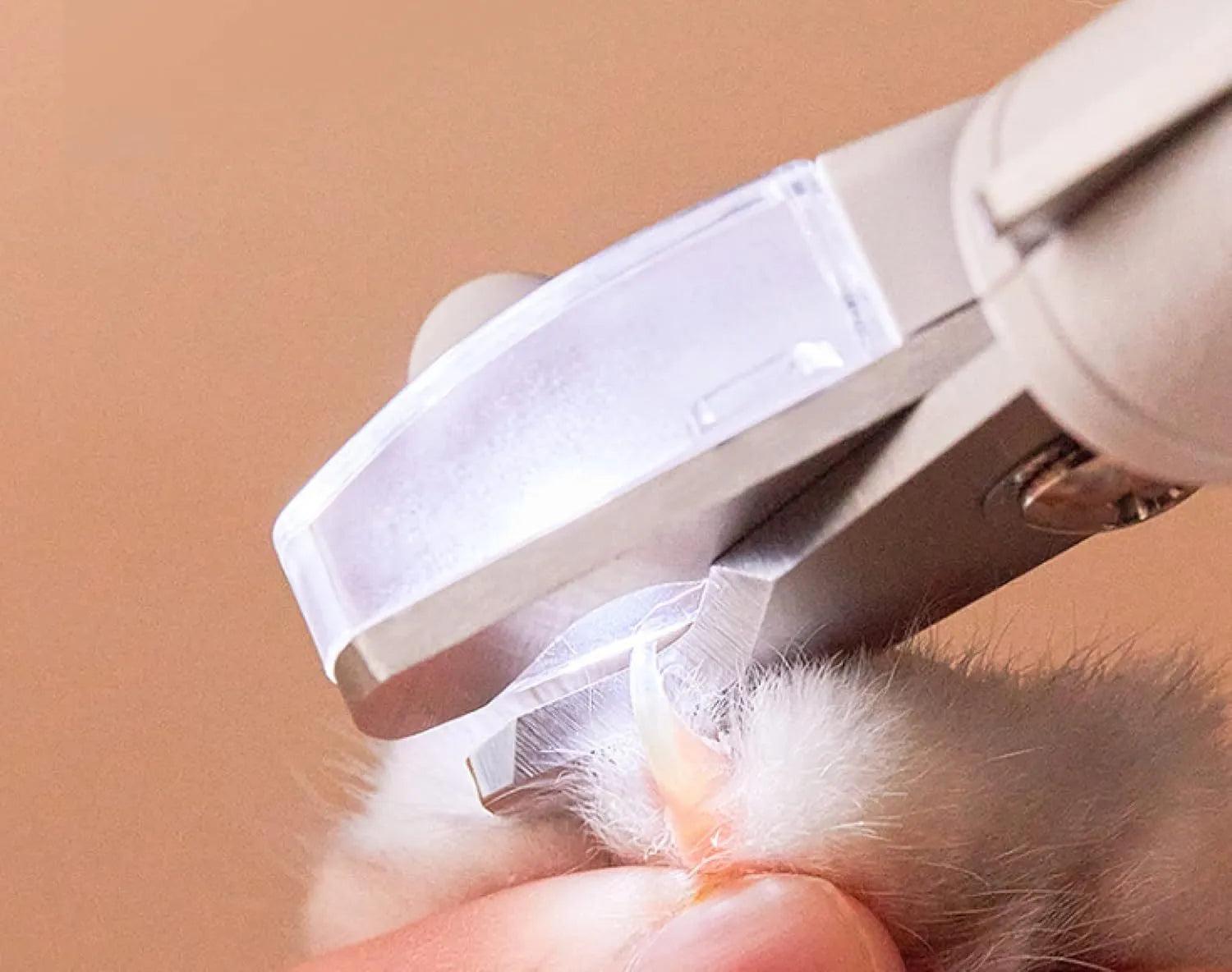 White LED pet nail clipper for cats and dogs with transparent anti-splash guard and file.