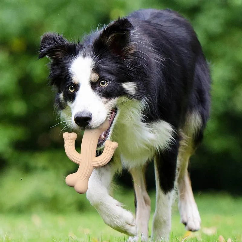 Beige, blue, and purple cactus-shaped dog chew toy made from bamboo fibre and rubber, shown in small and large sizes.