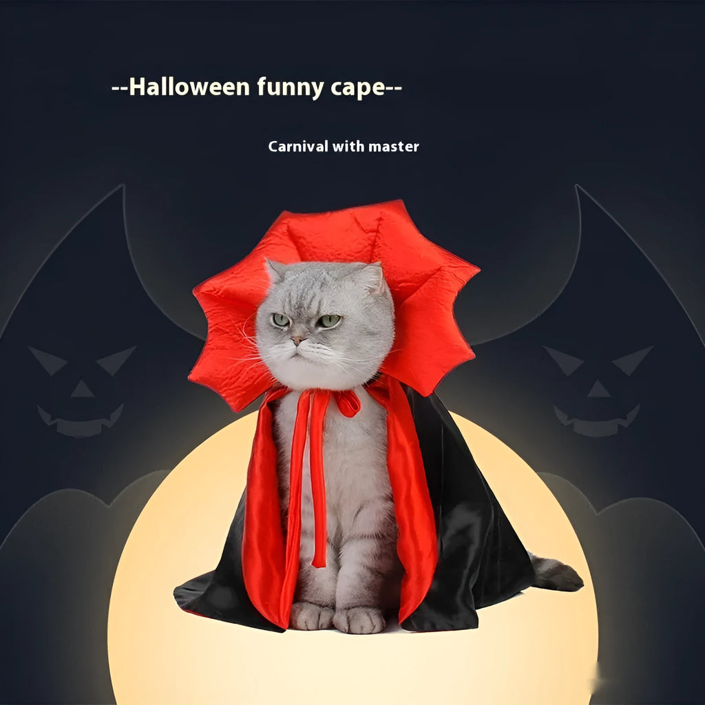 Black and red Halloween costume for pet dog or cat on hanger