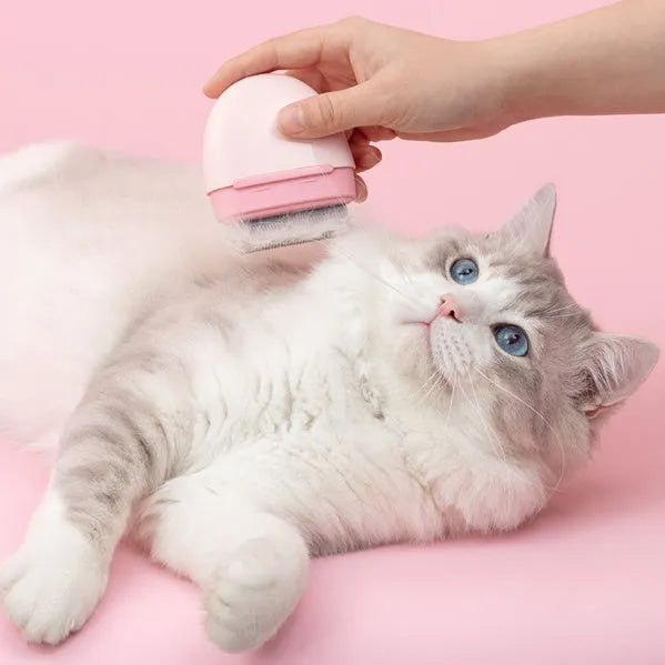 Plastic cat hair comb in blue with double head pocket comb design for removing floating fur