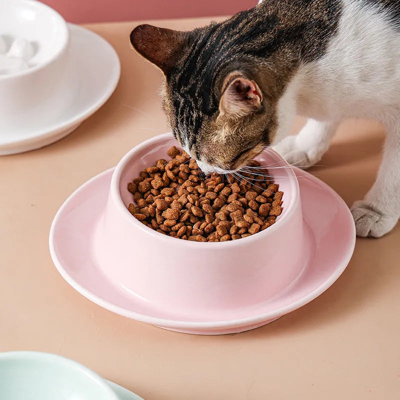 Green ceramic slow feed pet bowl with internal ridges and a raised centre on a white surface.