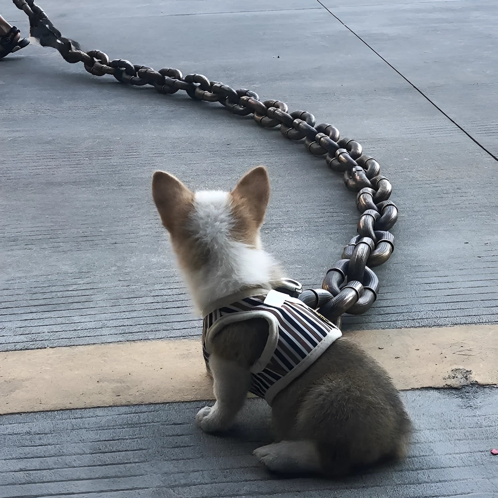 Plastic-coated iron chain dog leash with hand holding rope in antique silver colour