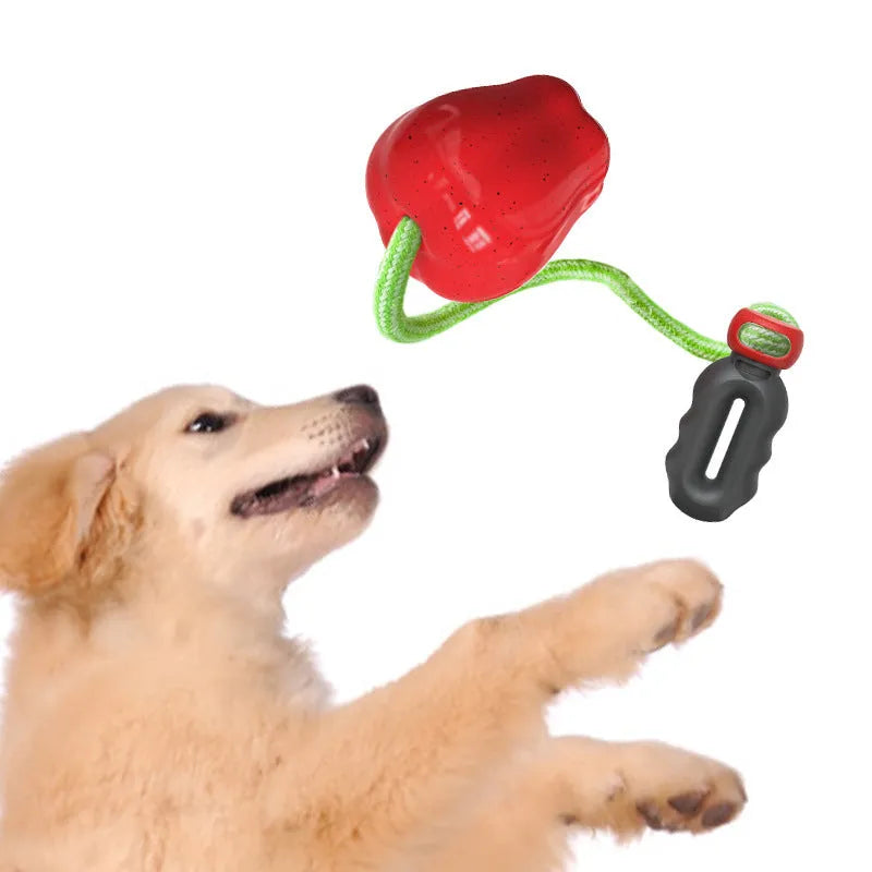 Green and red plastic dog toy shaped like a molar with a hollow centre for treat dispensing.