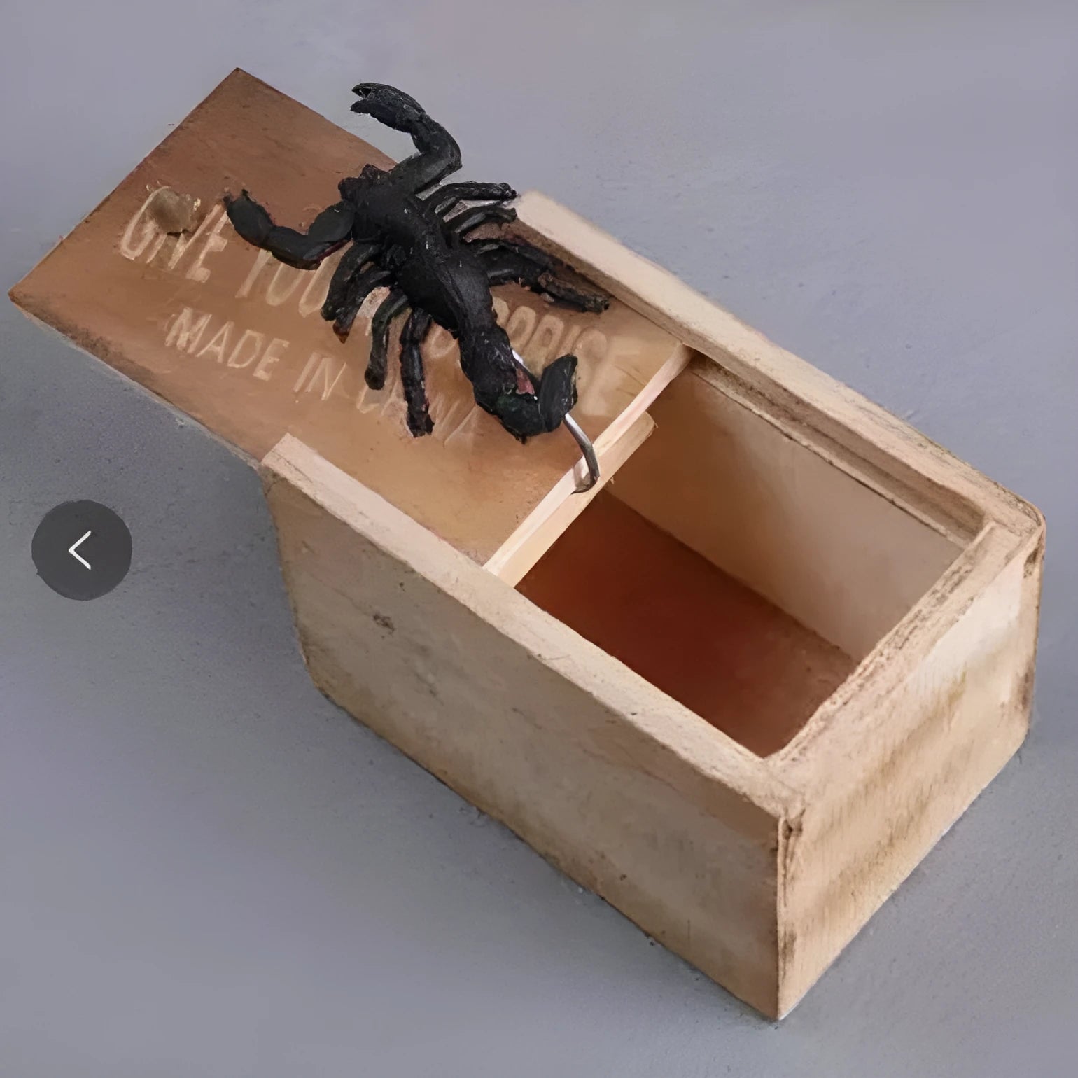 Camellia wood trick box with spider prank element on white background for scary spoof jokes