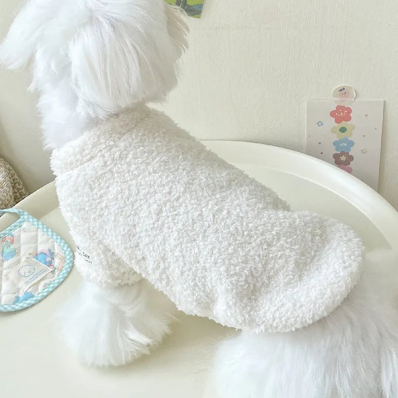 Brown double-sided cloud velvet dog jacket on a small dog, showing plush texture and fit.