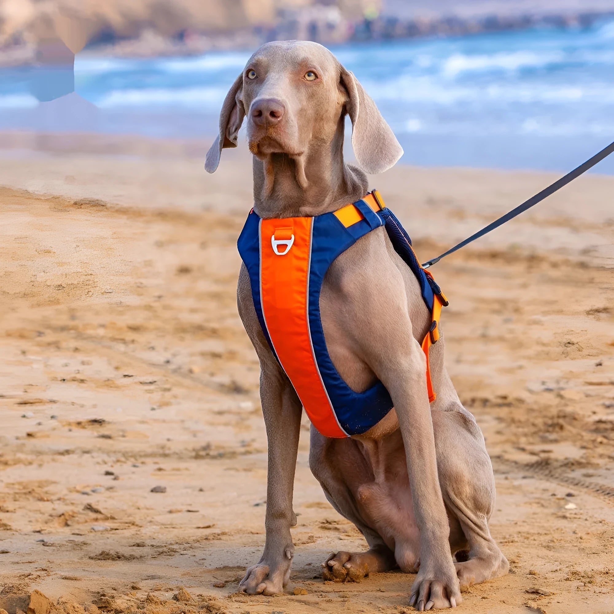 Nylon dog chest strap vest harness in orange blue or yellow brown with hand rope style design