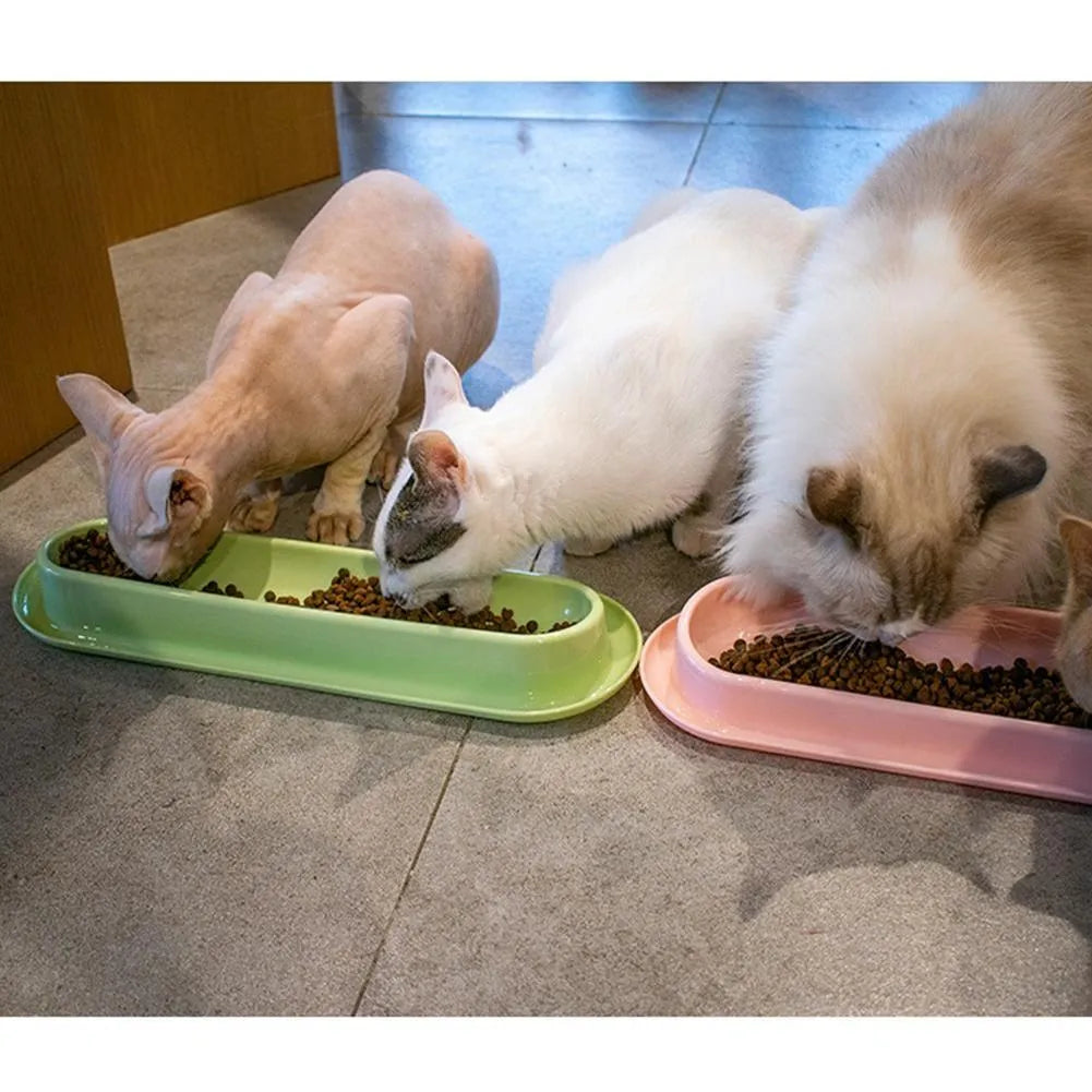 Green dual-compartment pet bowl with removable stainless steel insert and non-slip silicone base