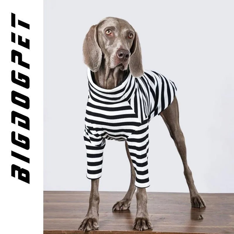 Large dog wearing thin black and white polyester inner clothing