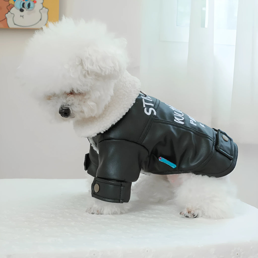 Fleece lined padded dog coat in black colour showing chest measurement and length dimensions