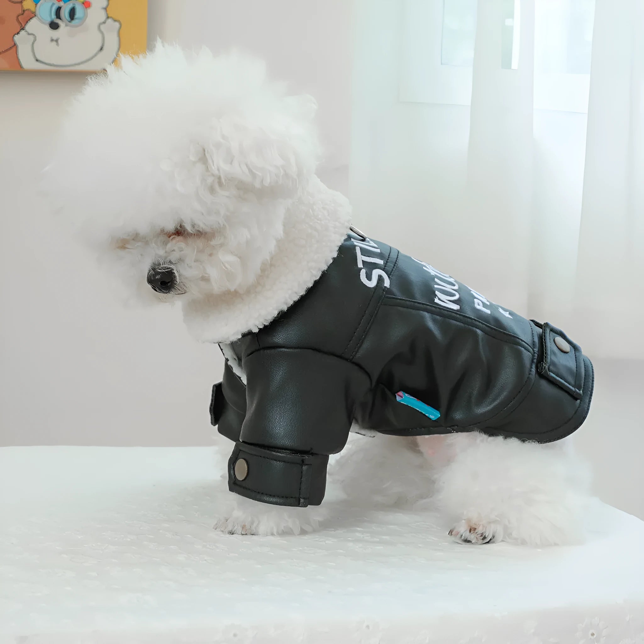 Fleece lined padded dog coat in black colour showing chest measurement and length dimensions