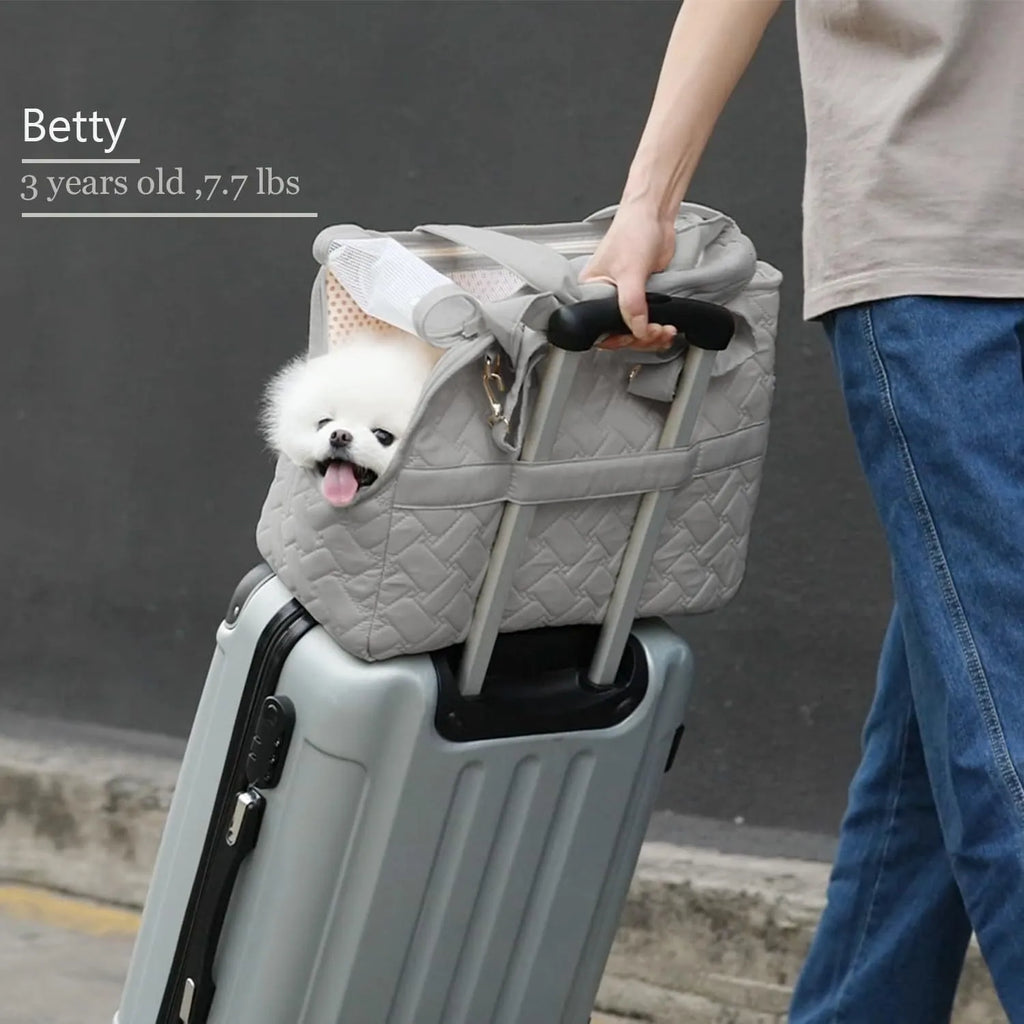 Grey handbag-style pet carrier for cats and small dogs with mesh panels and multiple pockets.