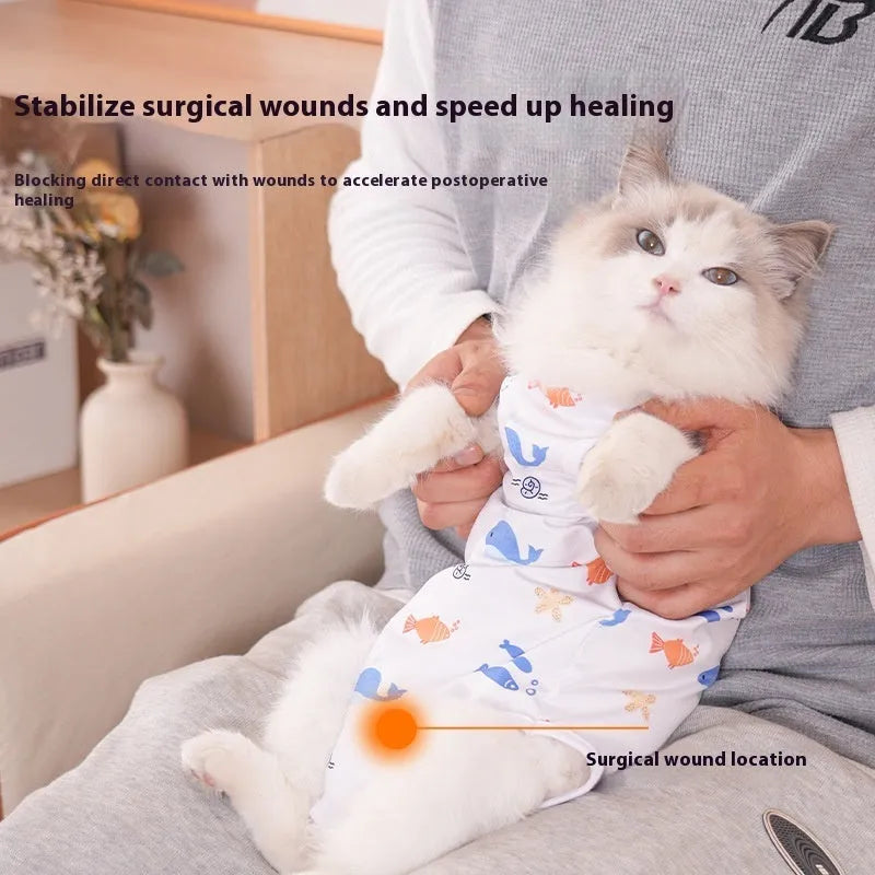 Cat wearing post-operative sterilisation suit with Velcro closure in multiple size options