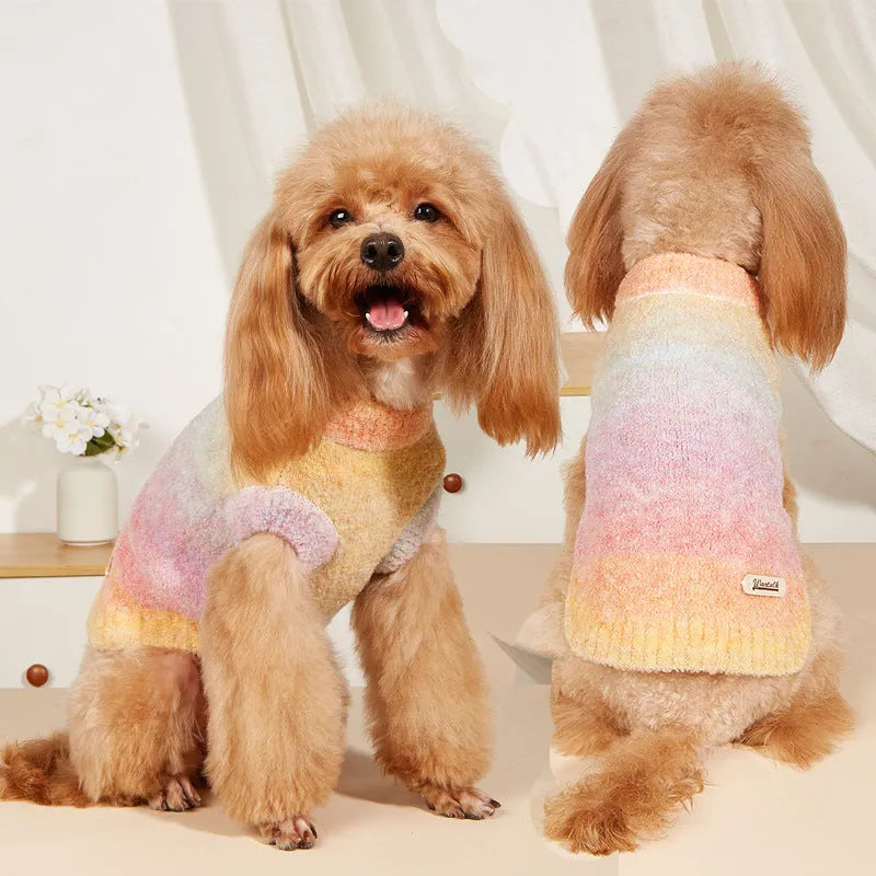 Colourful rainbow circle pattern dog sweater in soft wool acrylic blend fabric
