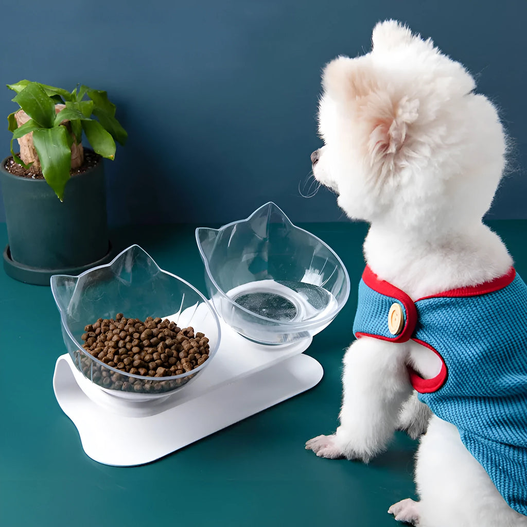 New Inclined Food transparent single cat bowl with PC plastic bowl mouth and beige ABS base, 13cm diameter