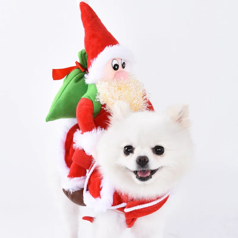 Halloween dog costume selection showing bat, clown, devil, and pumpkin designs for dogs.