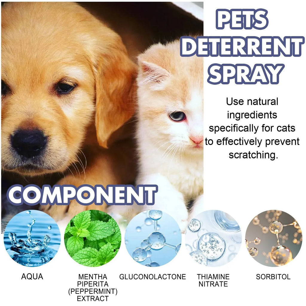 50ml bottle of clear pet deterrent spray in a box to stop cats and dogs scratching furniture.