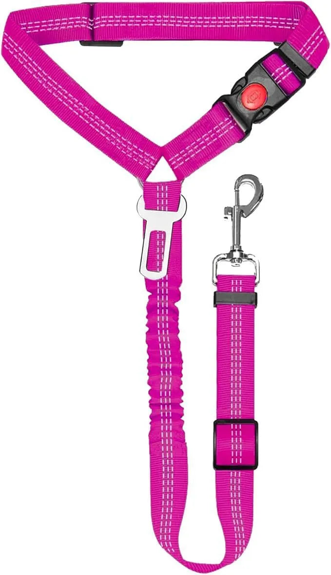 Nylon dog leash with metal buckle in multiple colour options including Army Green, Black, Blue, and Pink