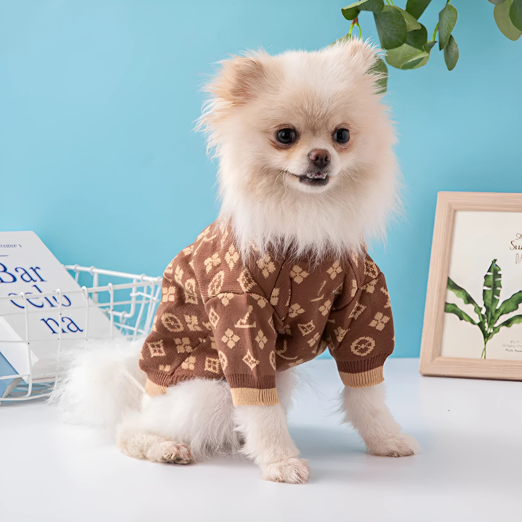 A dog wearing a thick wool knit sweater in a European style, available in sizes from XS to XXL.