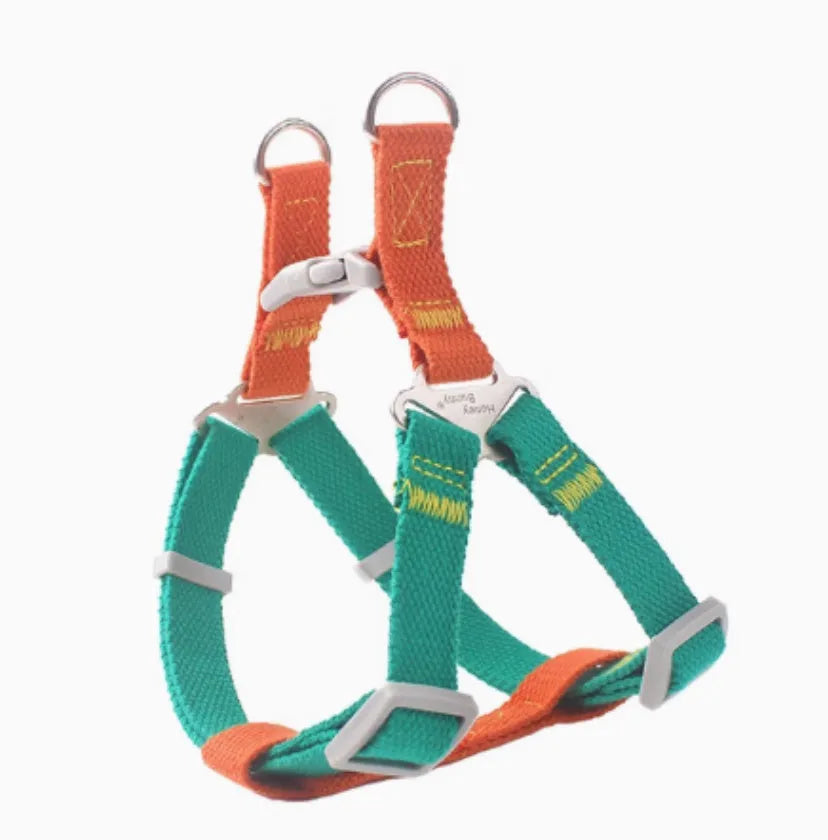 Contrast colour vest-style pet chest-back traction dog leash with lock release buckle in blue yellow