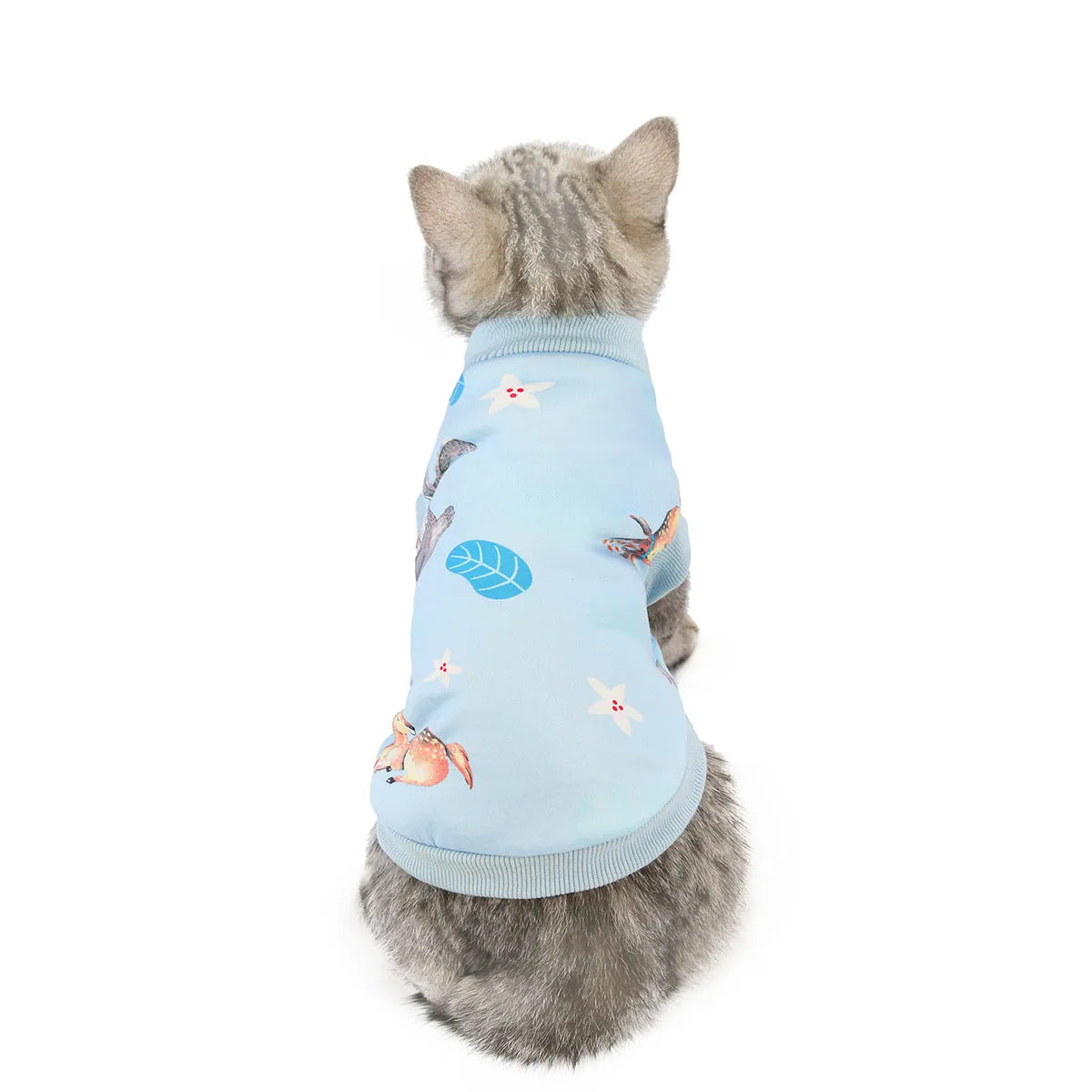 Yellow dinosaur design cotton cat clothes for autumn winter, casual style, available in multiple sizes