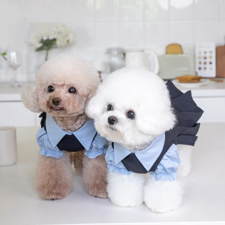 Dark grey polyester dog coat for casual wear on a dog, showing sizes from 2XS to 3XL.