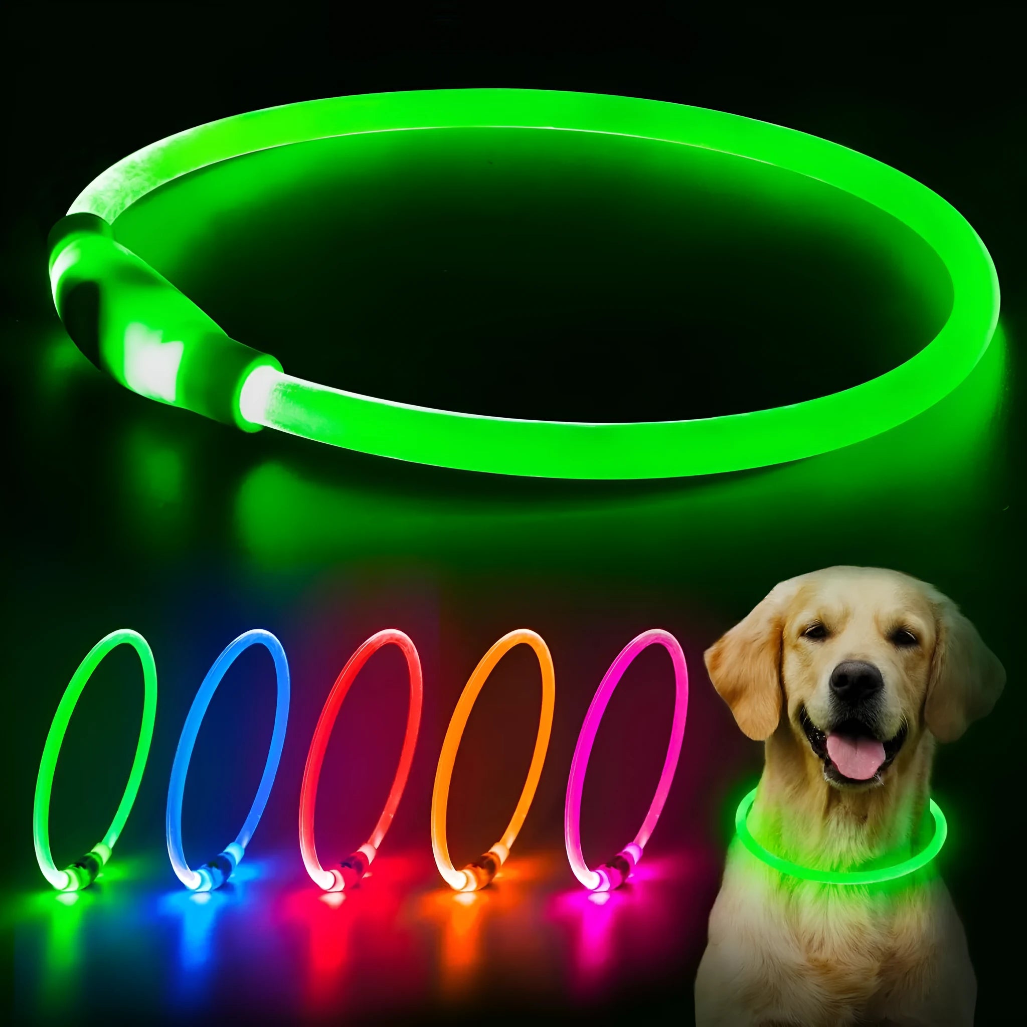 USB rechargeable LED dog collar glowing blue on dog's neck with adjustable TPU strap