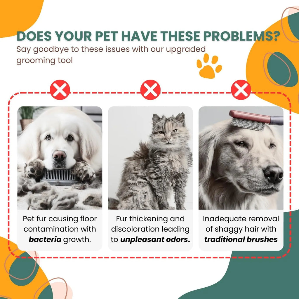 White pet grooming brush with water spray function for cats and dogs grooming
