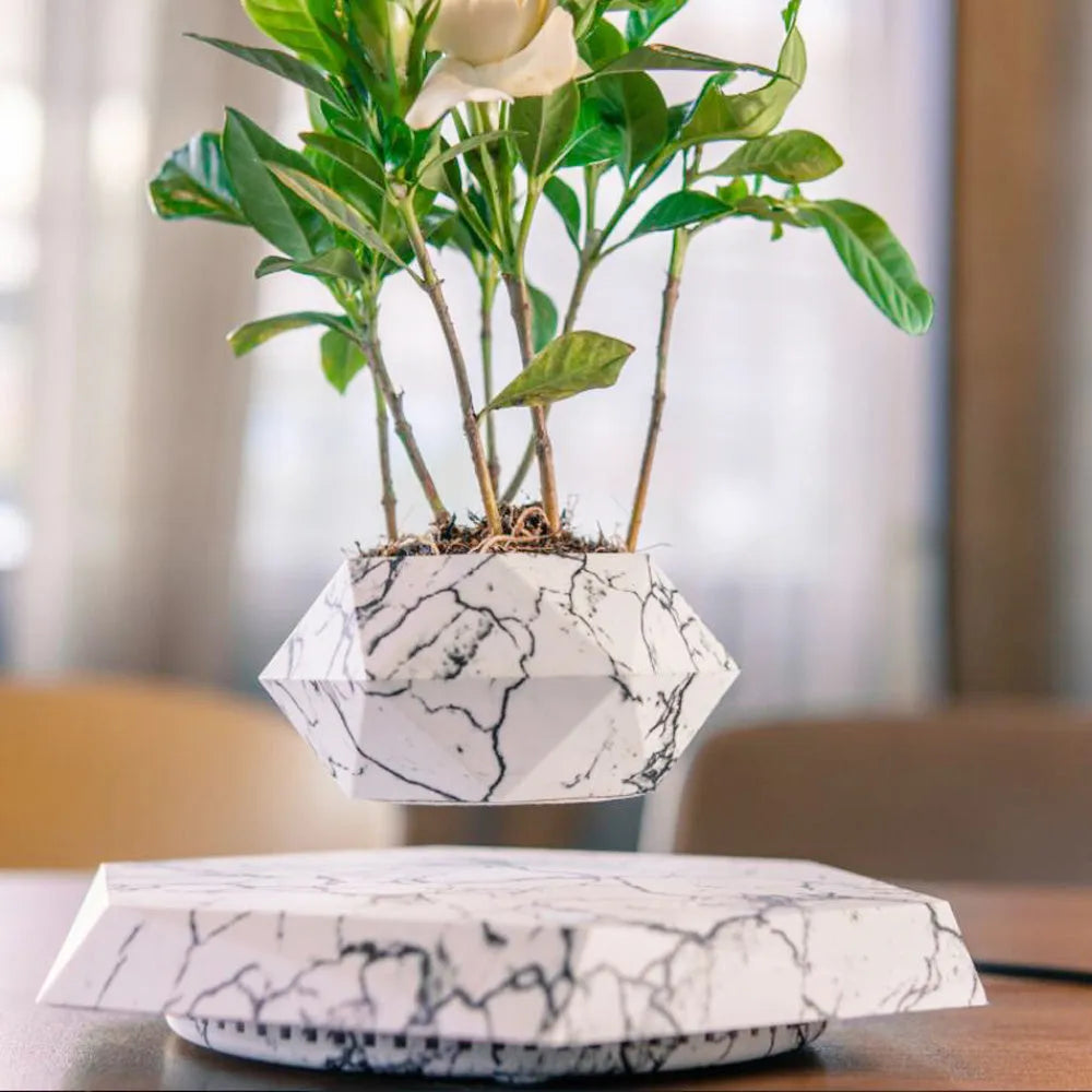Hexagonal wood grain magnetic levitating flower pot floating above a circular black base on a desk.