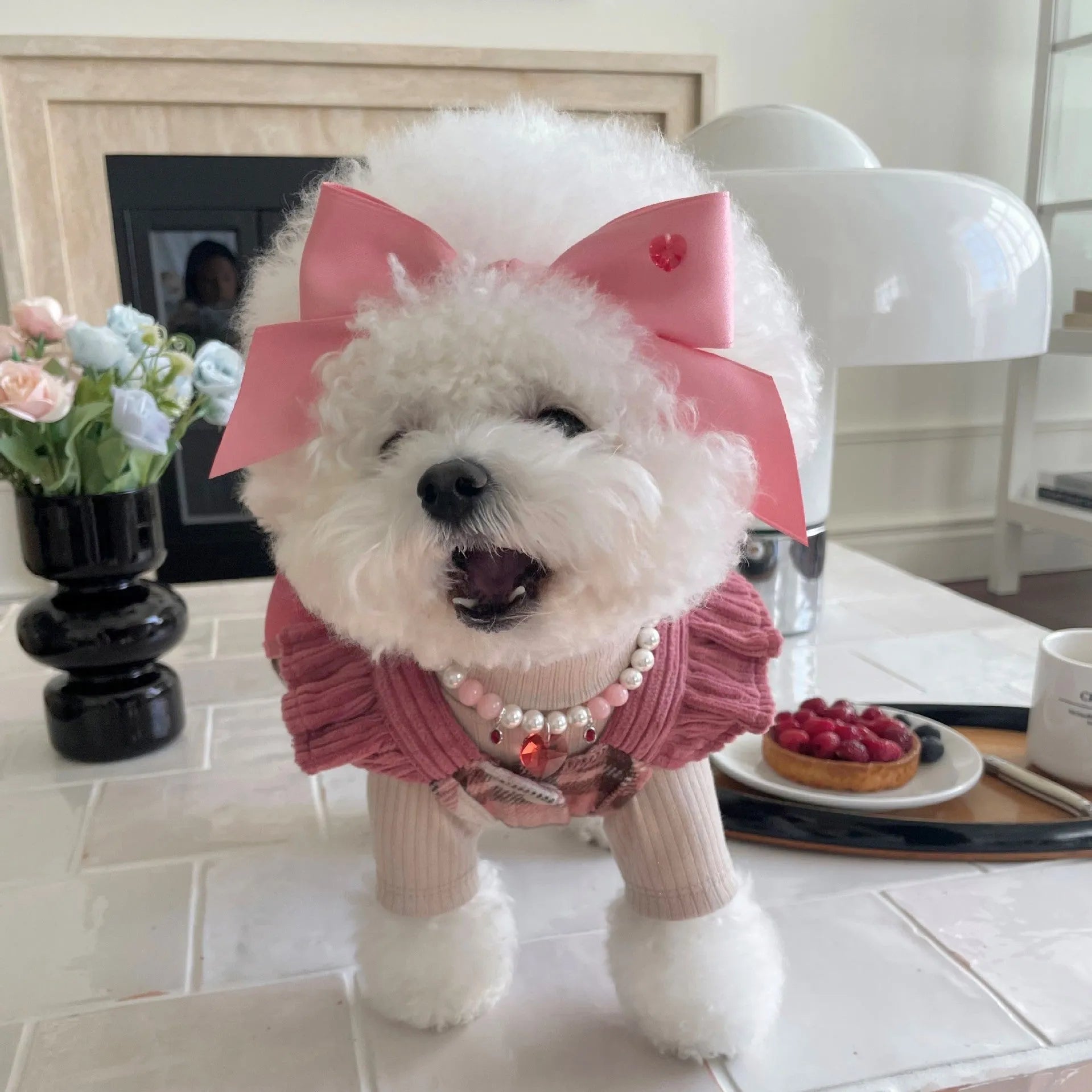 Princess style adjustable bow dog headband in blue colour on small dog