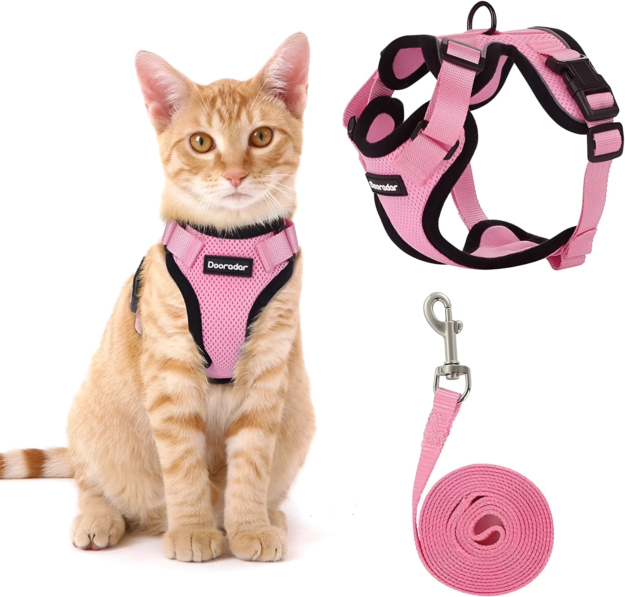 Blue anti-escape adjustable polyester cat leash for small cats size M