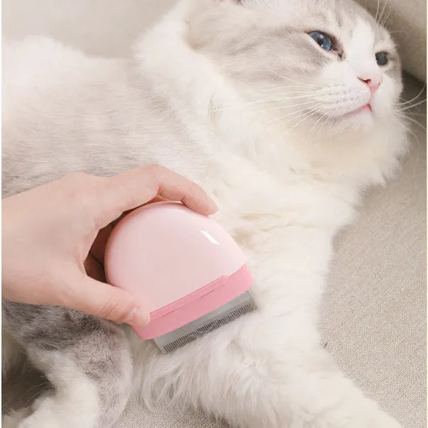 Plastic cat hair comb in blue with double head pocket comb design for removing floating fur