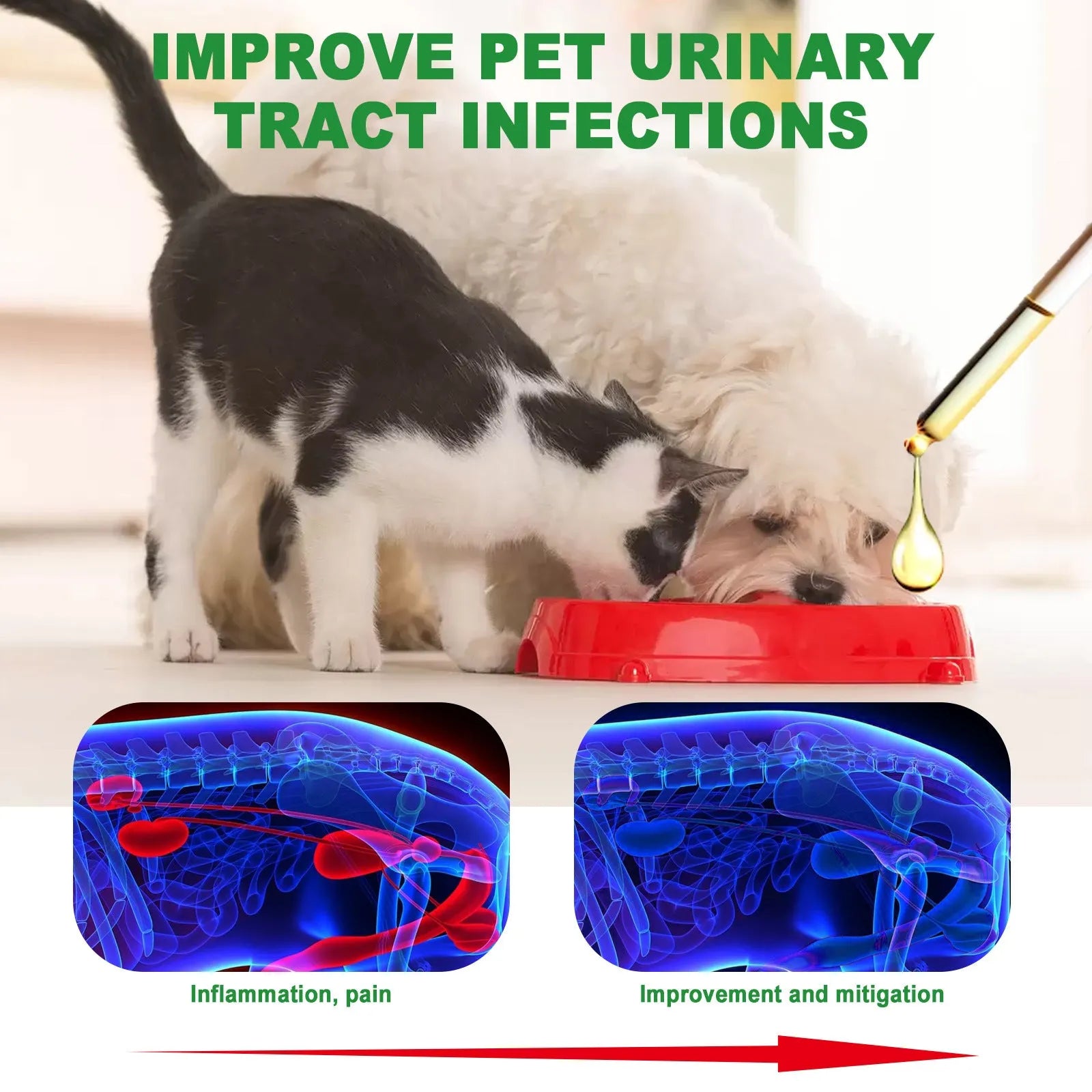 60ml pet pain relief drops bottle with botanical extracts measuring 3.2 by 11.5cm