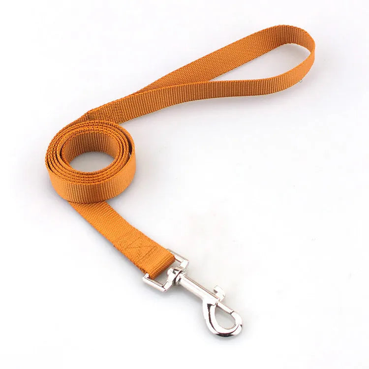 Solid colour polyester dog lead showing loop handle and single rope in one of twelve available colours.