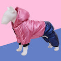 Green waterproof cotton dog coat on canine showing four-legged design and casual styling