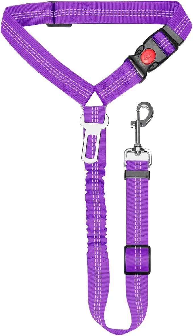 Nylon dog leash with metal buckle in multiple colour options including Army Green, Black, Blue, and Pink