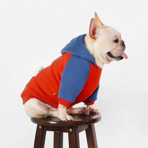 Red cotton dog clothes for small and medium breeds in autumn and winter seasons