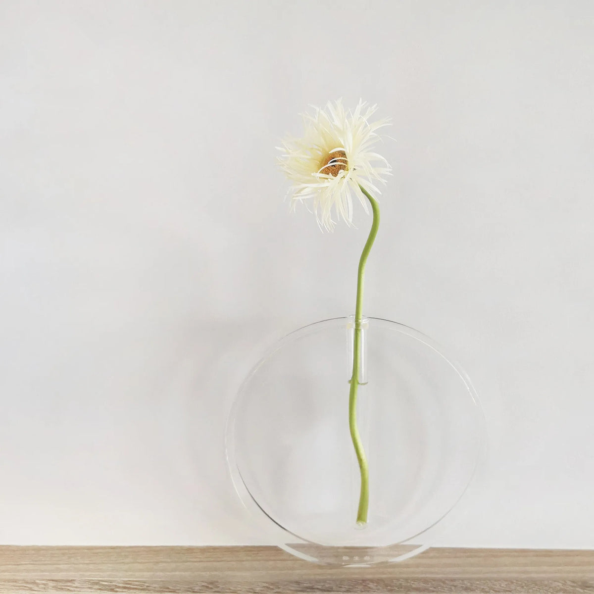 Acrylic transparent test tube vase handmade polished surface small size