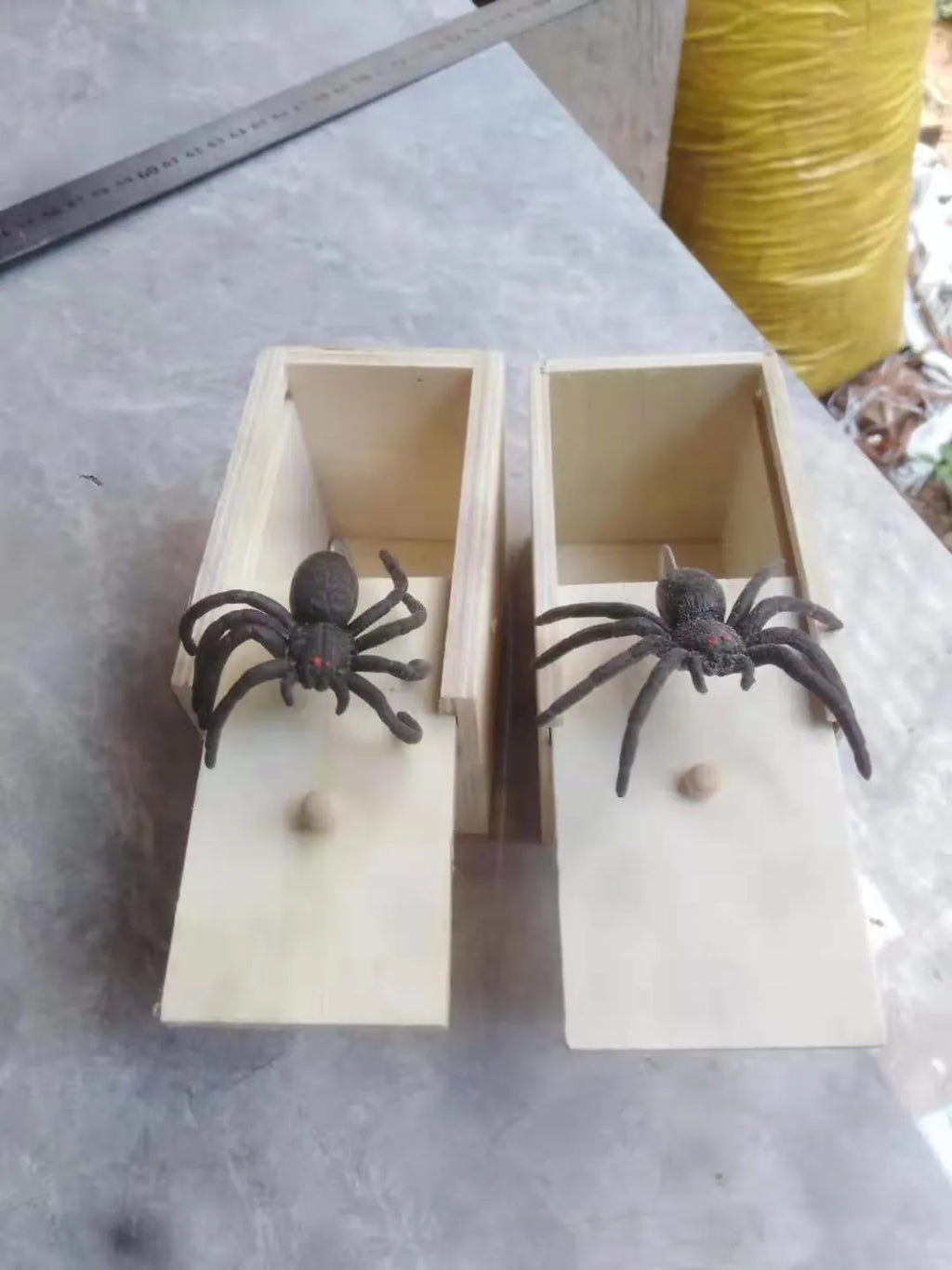 Camellia wood trick box with spider prank element on white background for scary spoof jokes
