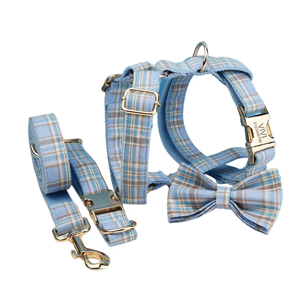 Sky blue grid pattern cloth dog collar and leash set with matching bow and vest on a dog