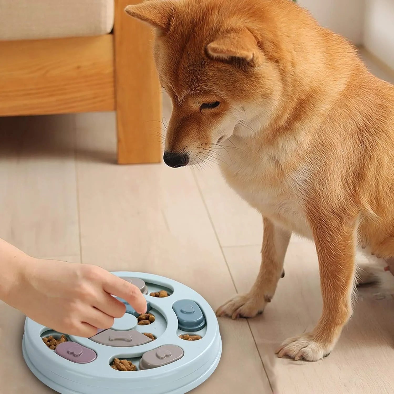 Blue dog puzzle toy slow feeder with sliding parts on floor